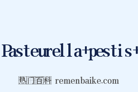 Pasteurella+pestis+是什么意思的图片